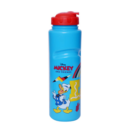 Summer Bottle Mickey