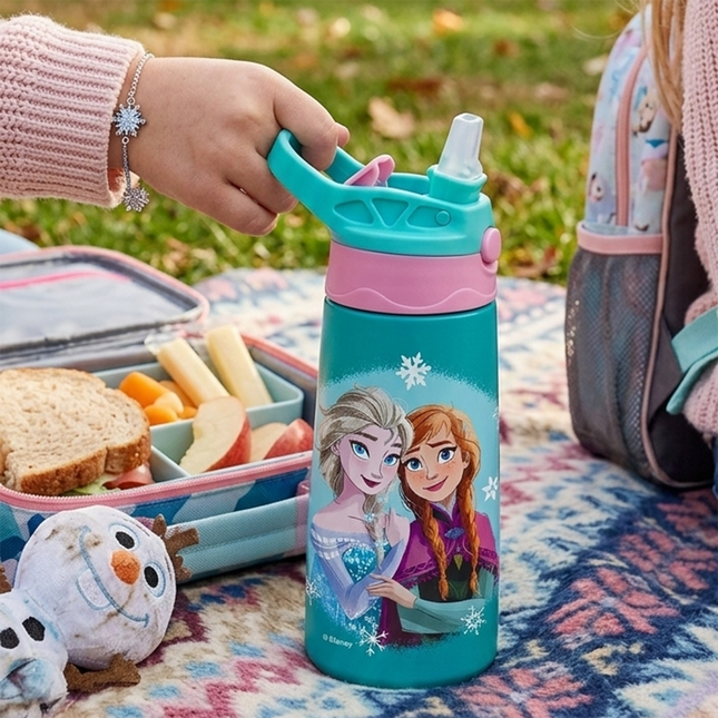 Maho SS kids Sipper Bottle 300ml Frozen