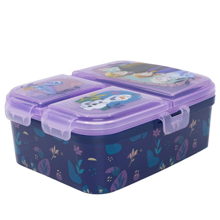 Partition Lunch Box Big