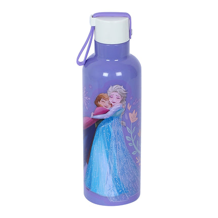 Mizu water bottle 500ml - Frozen