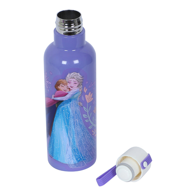 Mizu water bottle 500ml - Frozen